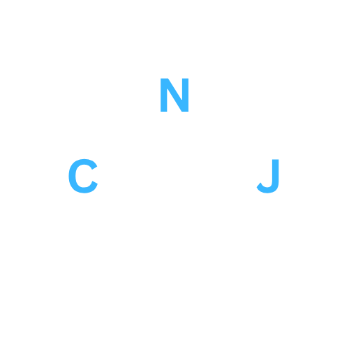 CNJ Technology Services